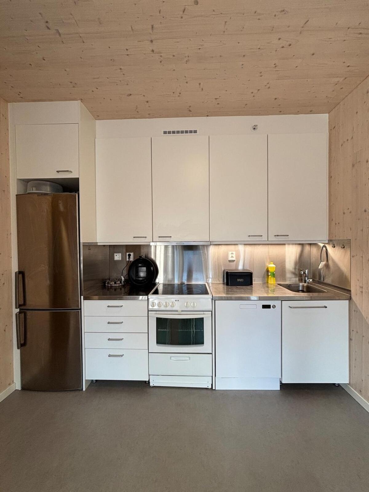 Lys, Koselig Og Familievennlig Apartment Oslo